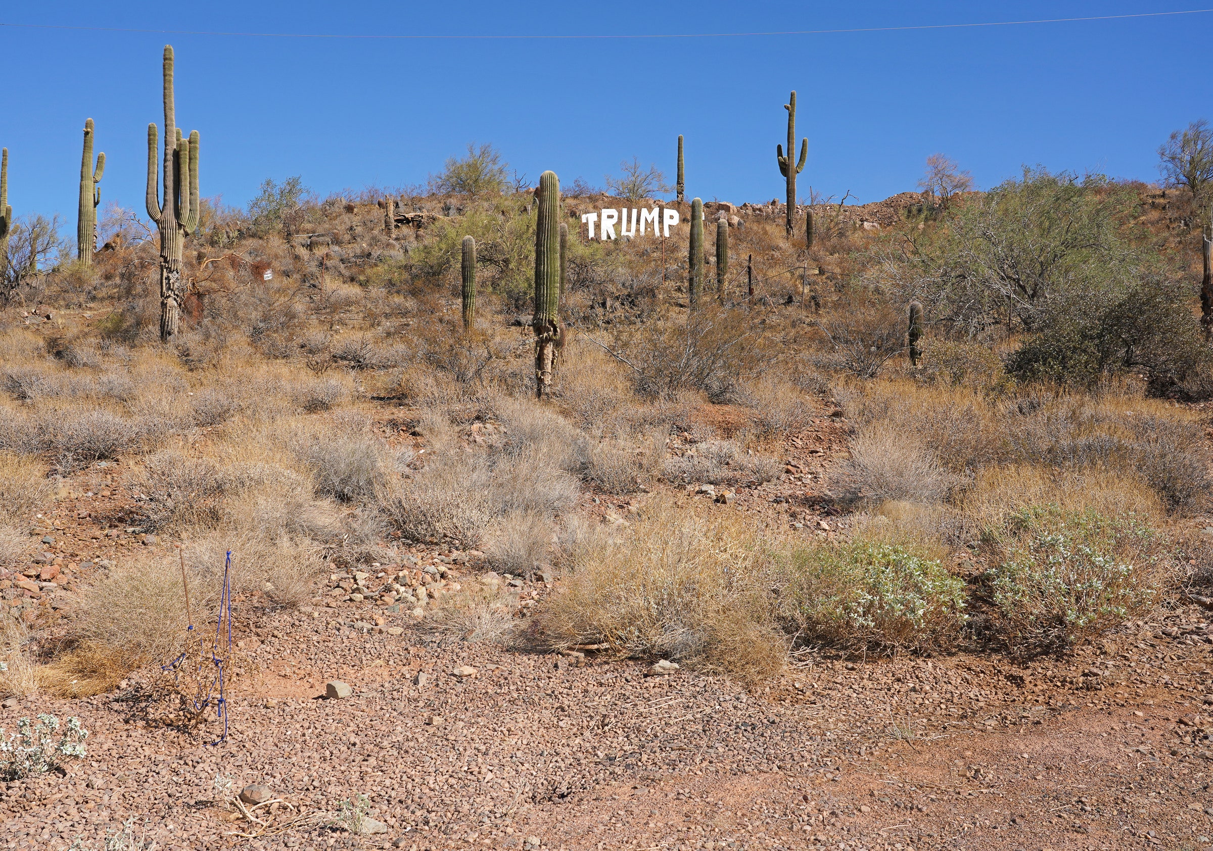 Dispatch From Maricopa County: Election Deniers, Voting Counts, and More