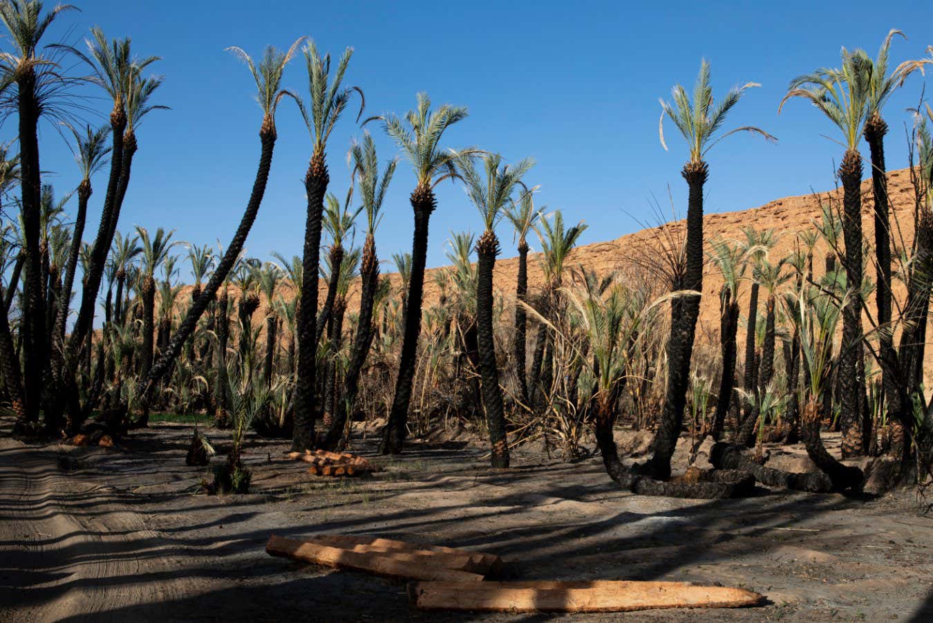 Images reveal how climate change is upending life in Morocco’s oases