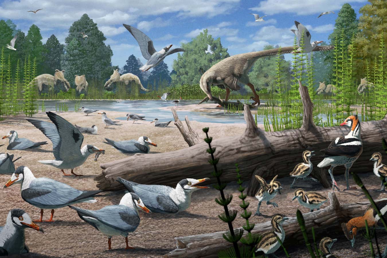 First evidence of ancient birds nesting above the Arctic circle