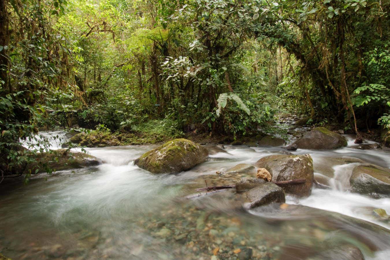 Robert Macfarlane is wrong to cast rivers as life forms in new book
