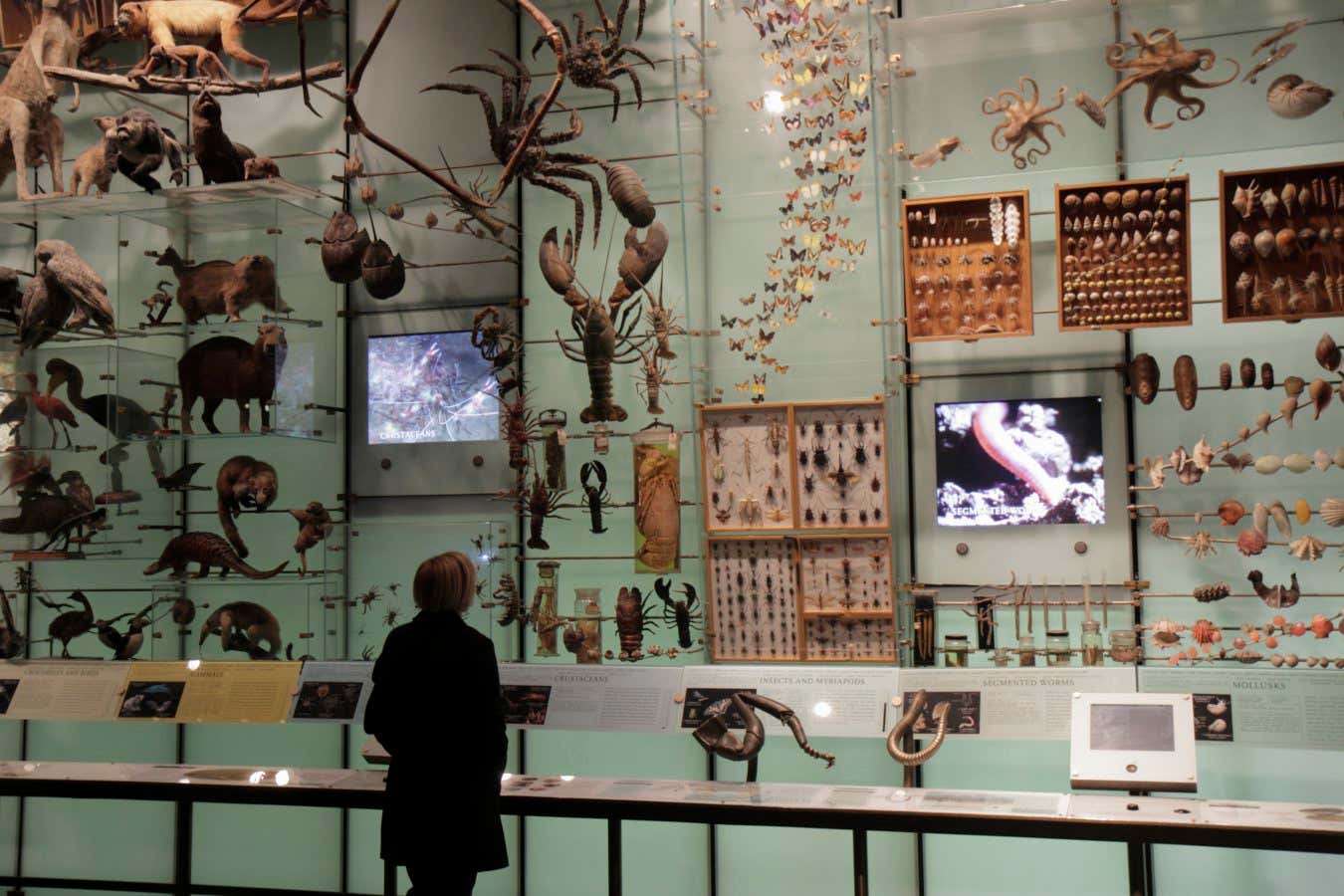 A new book reveals the deep flaws in our natural history museums