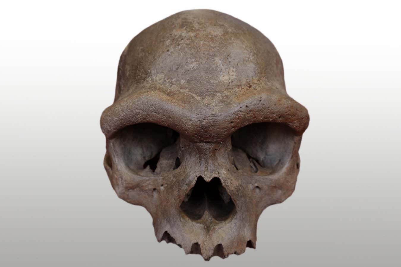 We finally know what the face of a Denisovan looked like