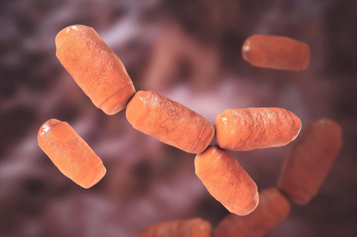 Weird ‘harmless’ microbes may play a pivotal role in colorectal cancer