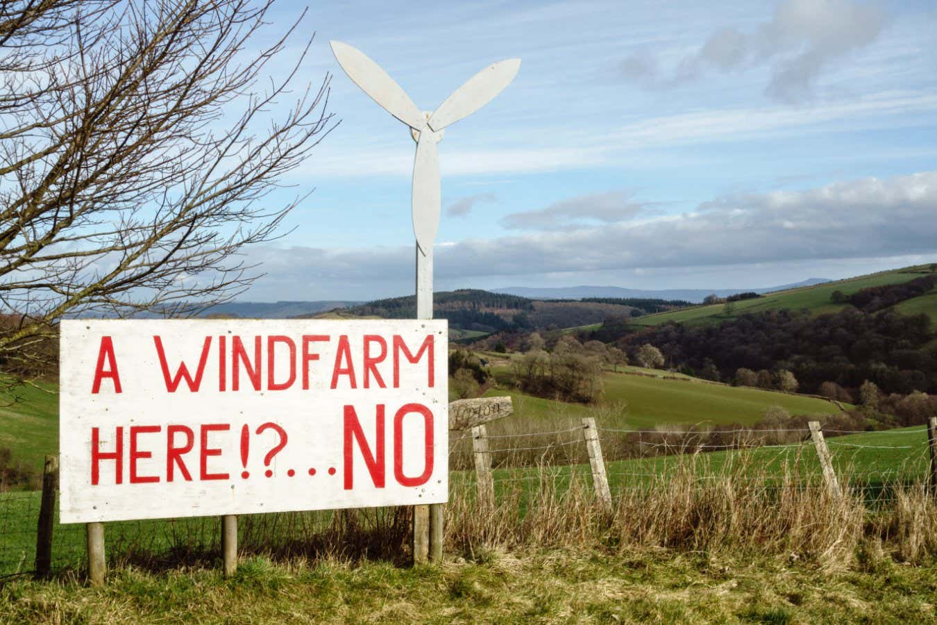Exciting new research shows ways to defuse the “green backlash”