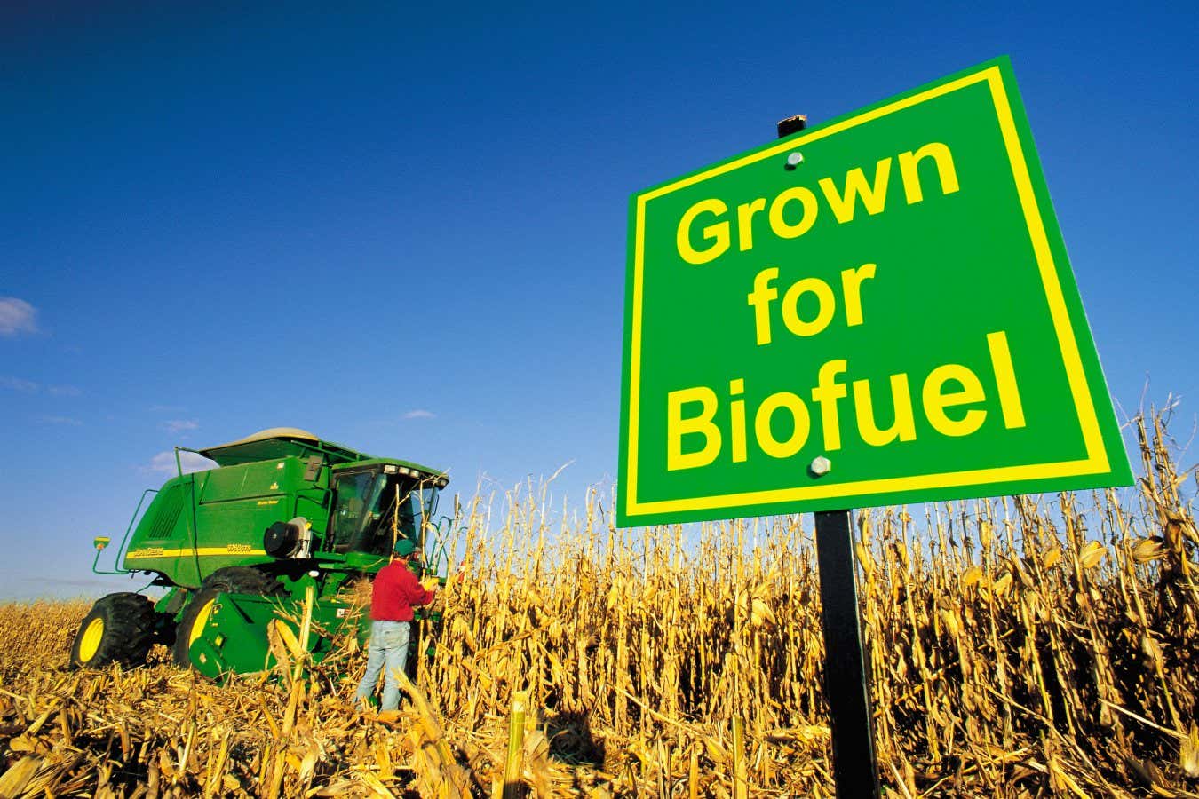 Are biofuels a good idea? Only if you’re a farmer or shipping company