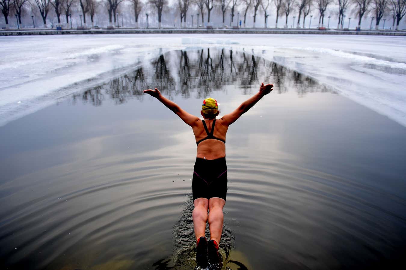 Cold-water swimming has benefits for the brain as well as the body