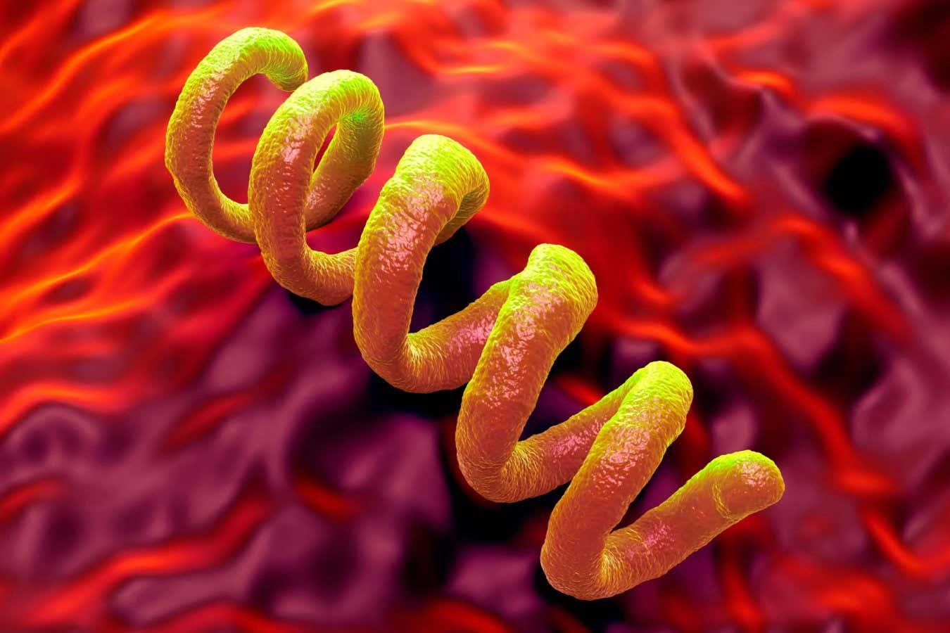 Ancient bacterium discovery rewrites the origins of syphilis