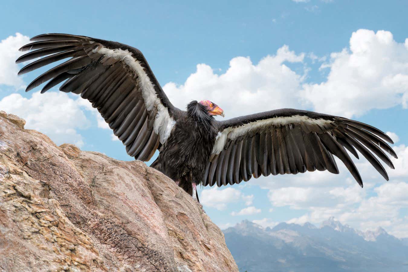 What to read this week: Lixing Sun’s ambitious On the Origin of Sex