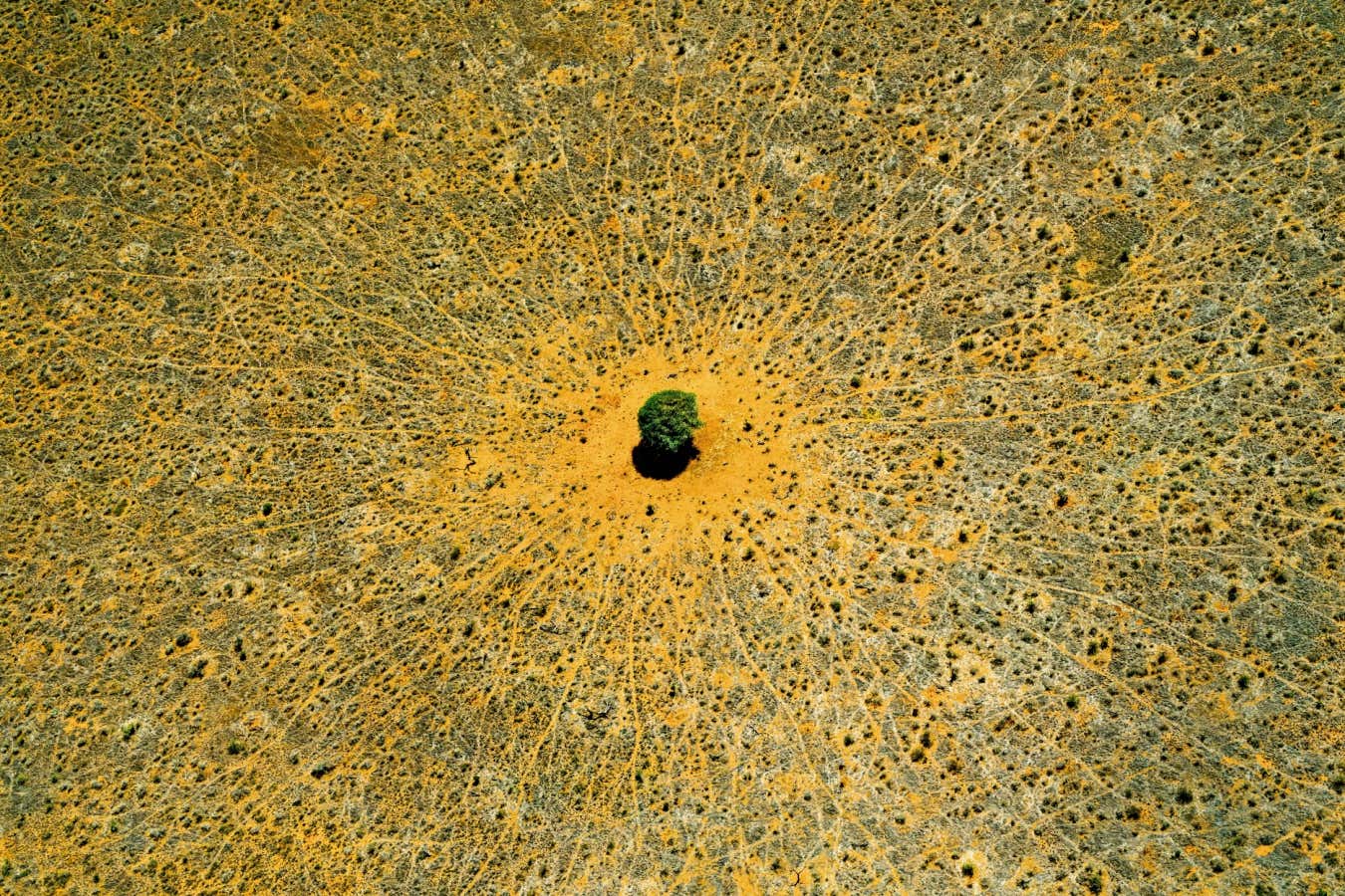 Earth from Above author returns with astonishing freshwater images
