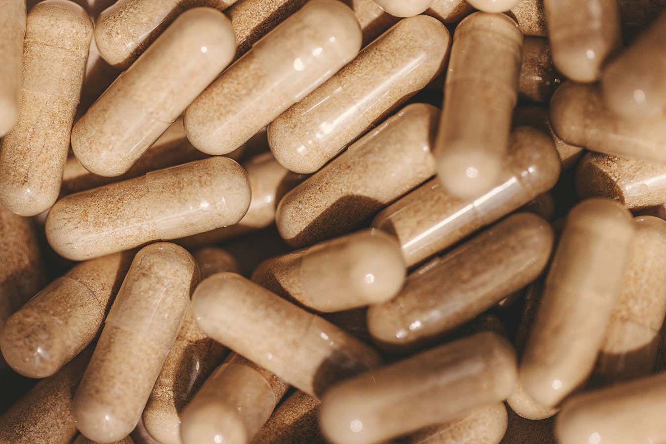 Can prebiotics, probiotics or postbiotics help your ageing microbiome?