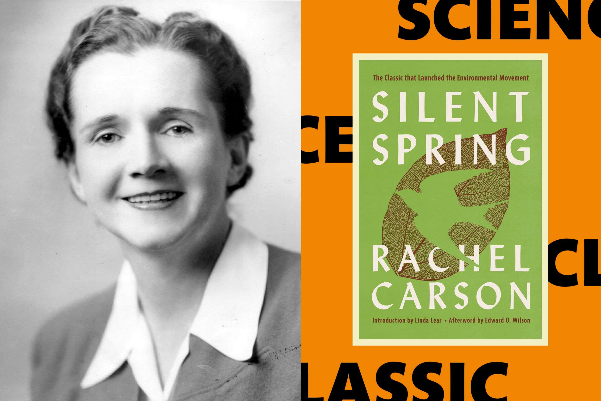 How Rachel Carson’s Silent Spring changed the world in 1962
