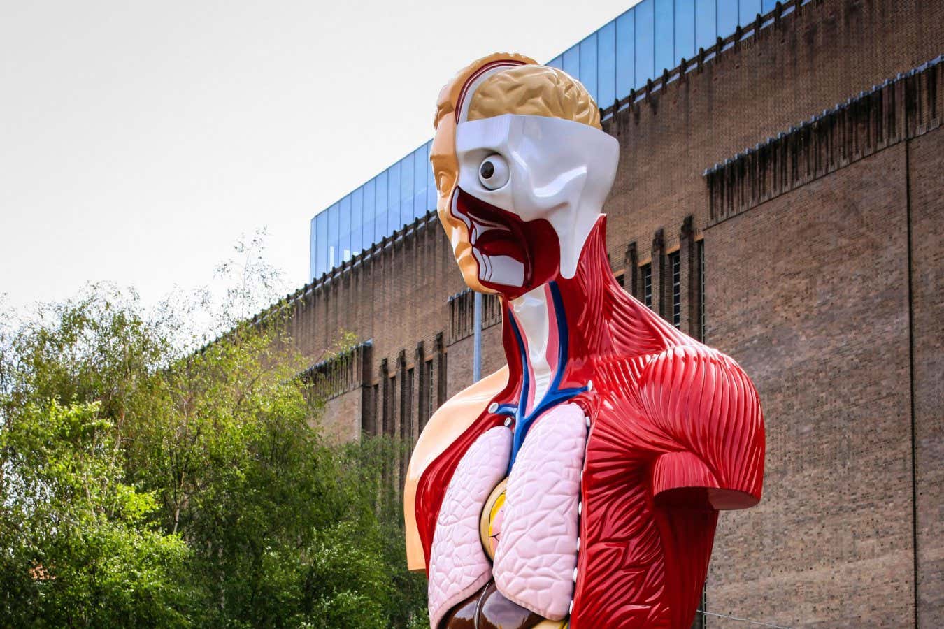New Scientist recommends a deep dive into our organs by Giulia Enders